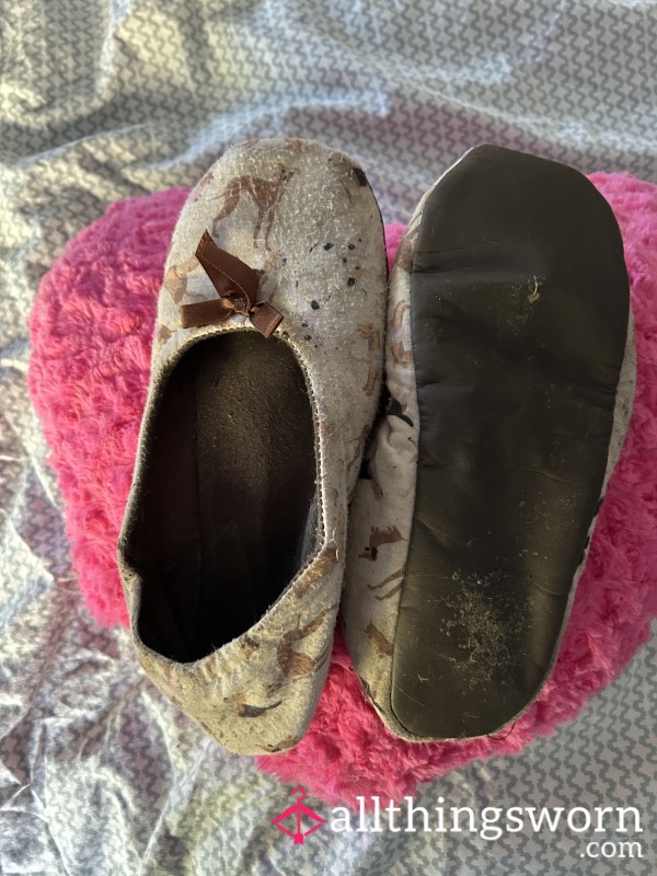 Filthy Smelly Well Worn Slippers