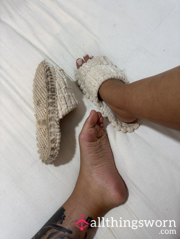 Filthy Stinky Slippers