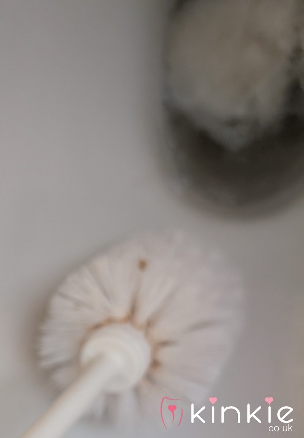 Filthy Toilet Brush- For The Brave And Disgusting