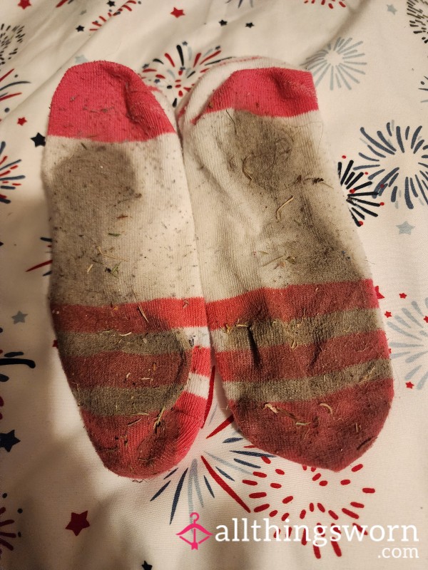 Filthy White Socks 3 Day's Wear