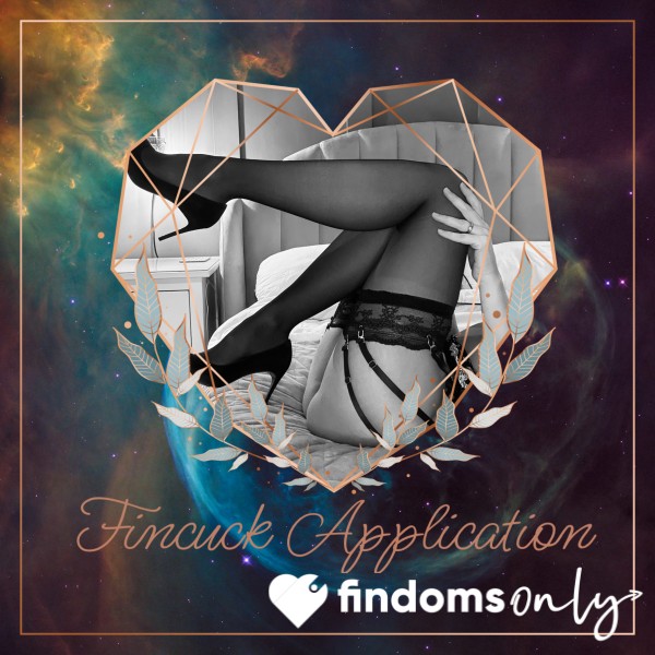 Fincuck Application 💦