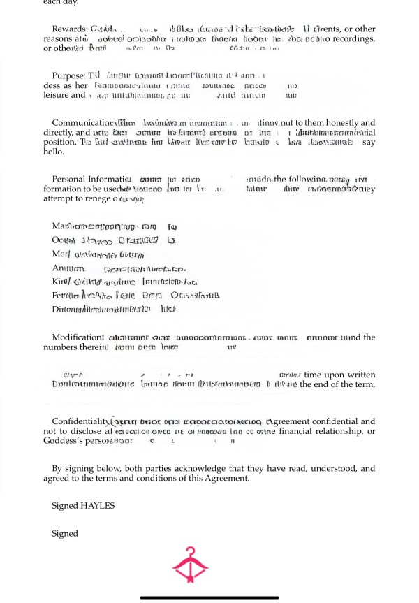Findom Debt Contract