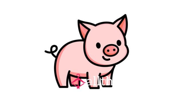 Tribute 🐷