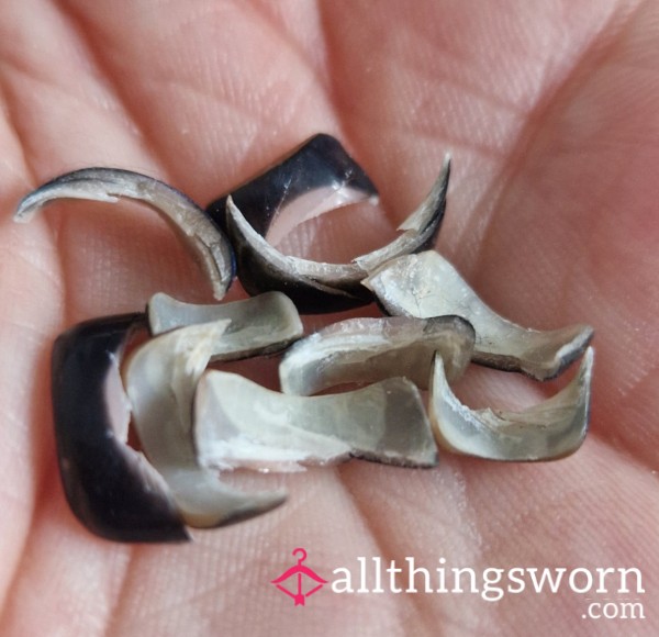 Finger Nail Clippings