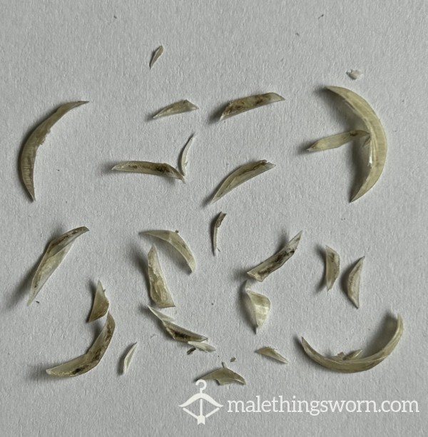 Fingernail Clippings From A Straight Guy