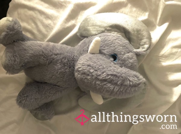 First Teddy For Humping