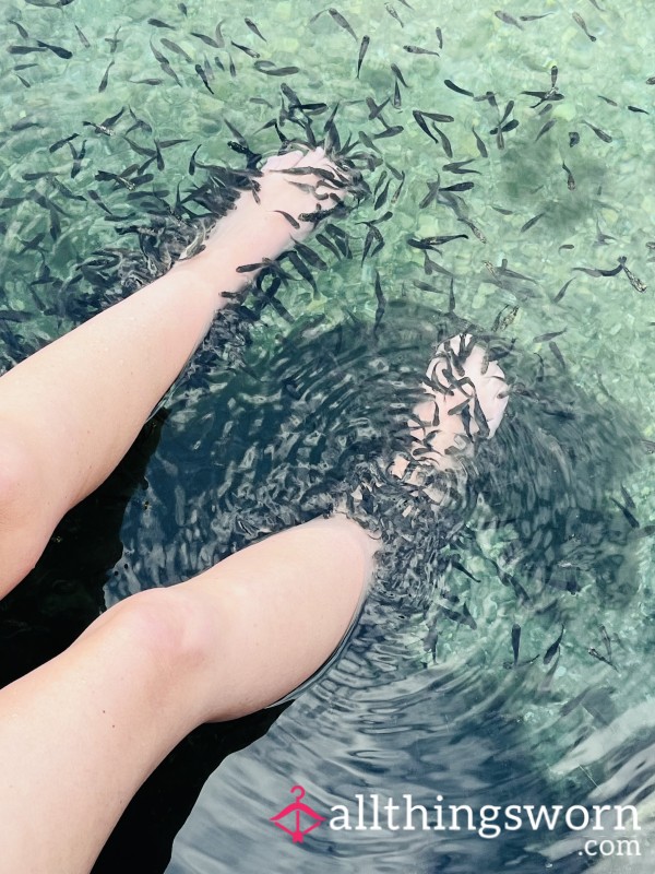 Fish Feet Fun