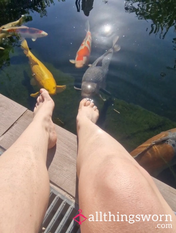Fishies Sucking My Toes