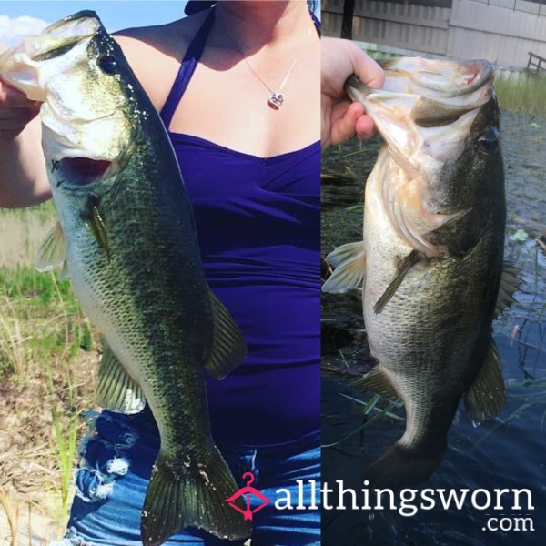 Fishing Today? I’ll Pick Your Lure!