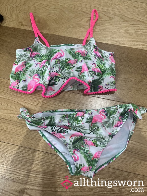Flamingo Bikini