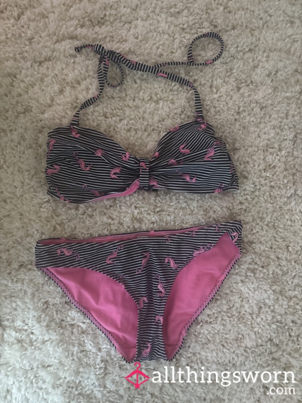 🦩✨ Flamingo Dream Bikini ✨🦩