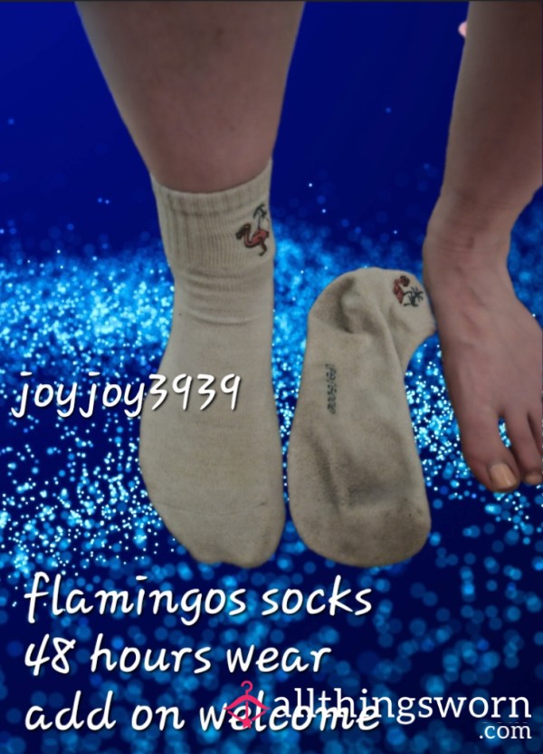 Flamingos Socks