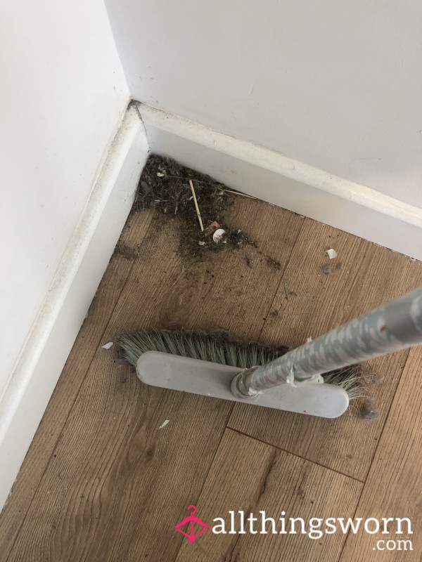 Floor Sweepings 🧹