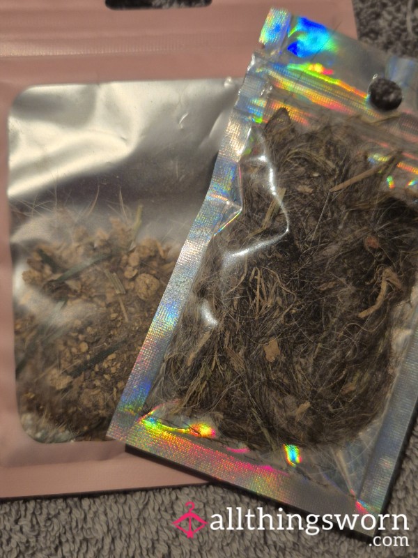 Floor Sweepings And Fluff N Stuff Of The Bottom Of My Sweeping Brush