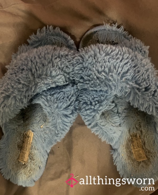 Fluffy Blue Slippers Which Have Been Worn During Cleaning, Relaxing And Playtime.