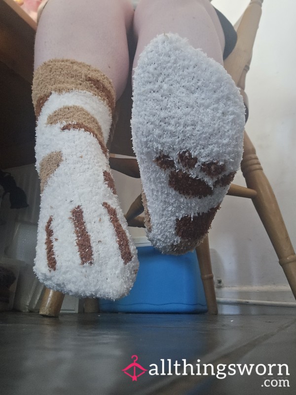 🐾🤎 Fluffy Cat Feet Socks 🤍🐾