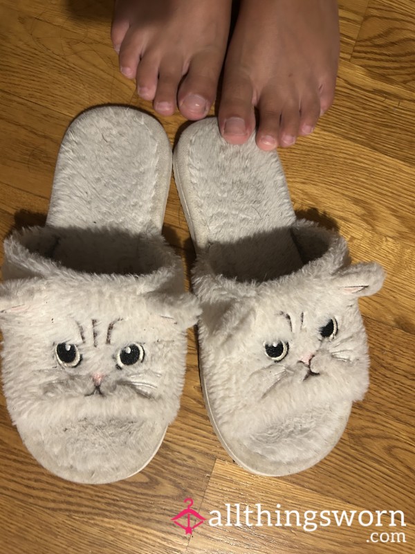 Fluffy Cat Slippers- Cute, Comfy, Sweaty All Worn👅
