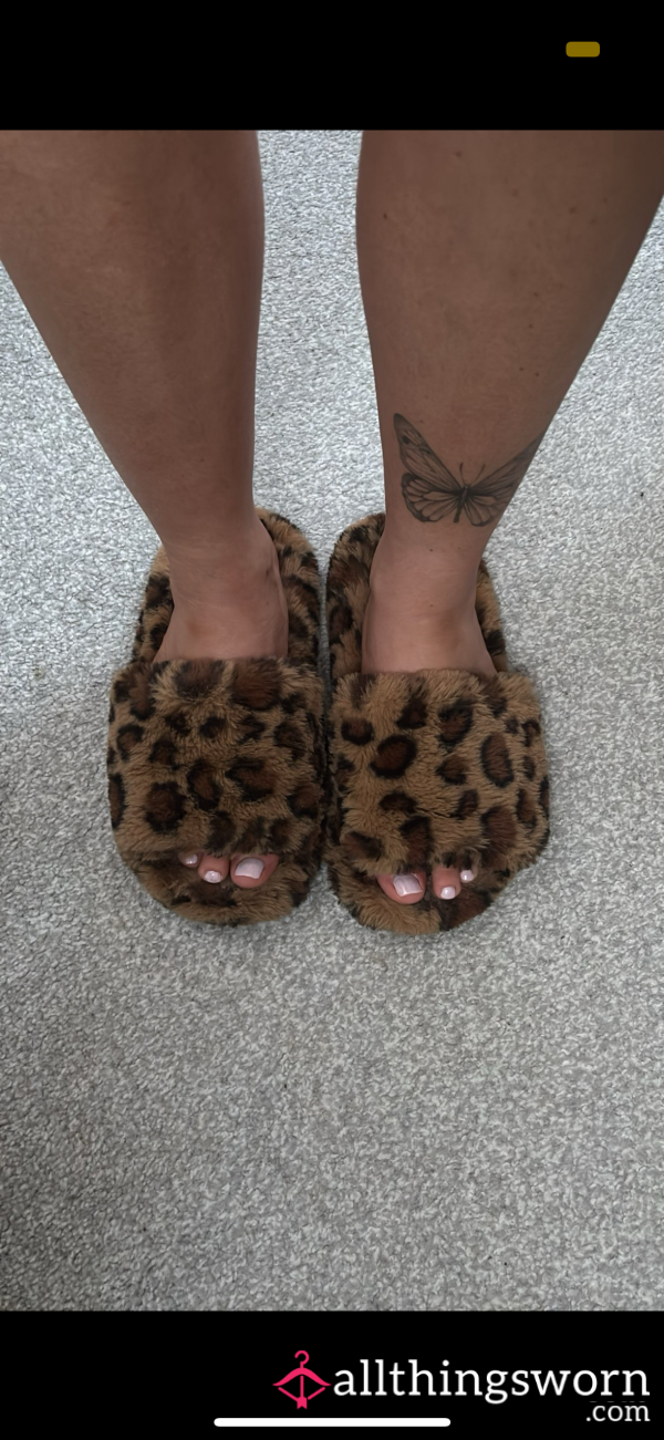Fluffy Leopard