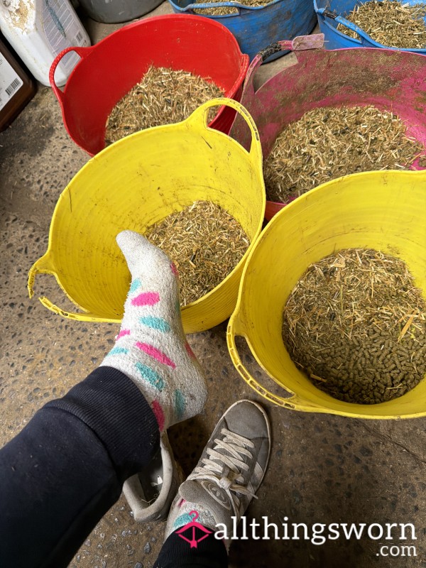 🧦 Fluffy Socks – 12 Hours Wear Today 🐎🤍