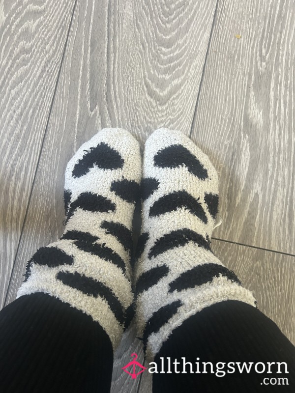 Fluffy Socks 🧦