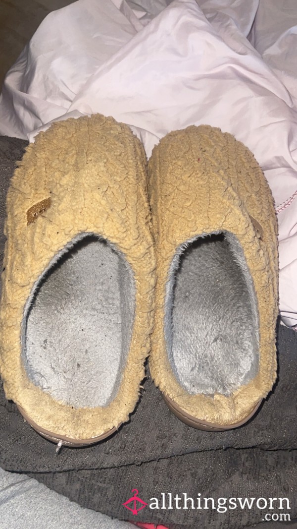 Fluffy Teddy Bear 🧸 Slippers