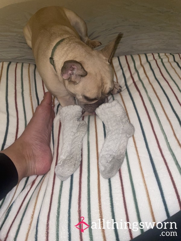 Fluffy Was Once White Socks