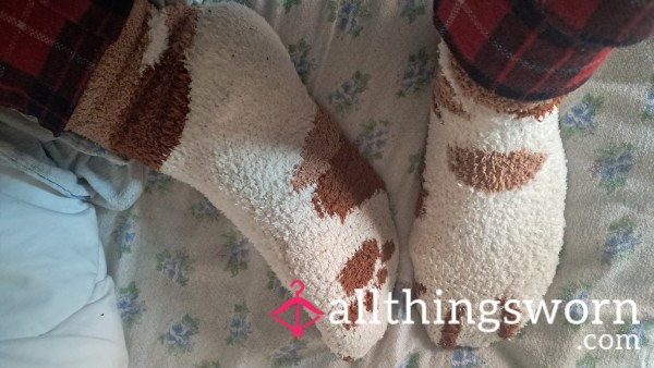 Fluffy Winter Paws Socks ✨️