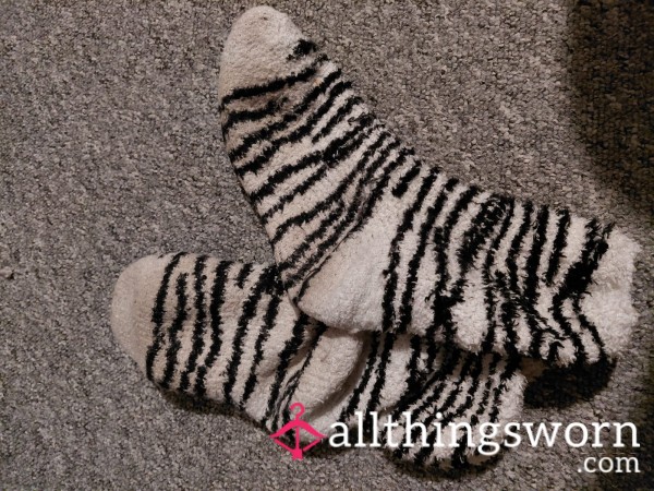 Fluffy Zebra Socks Worn 2 Days 😍 🦓🧦