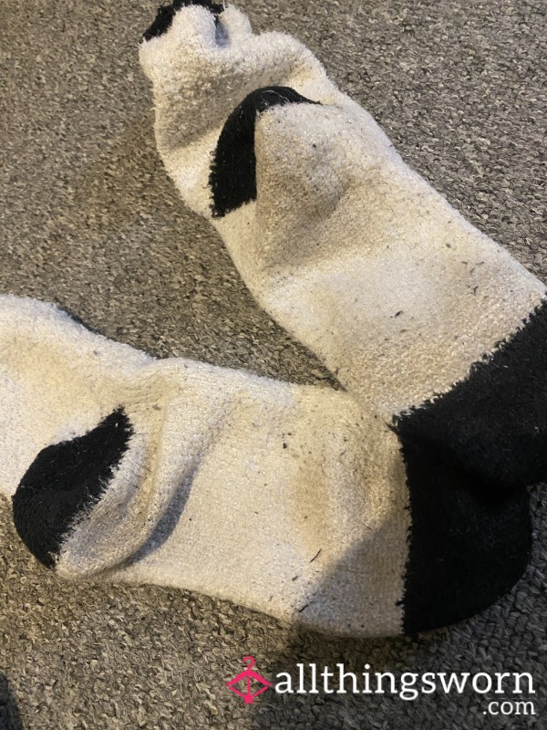 Fluffys Been Worn 24hours