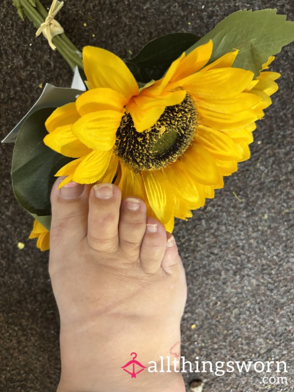Foot Pic Sniffing A Flower