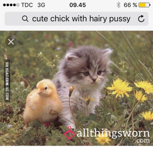 For The Hairy, Super Wet And Juicy 🐱 Lovers 🤭😋