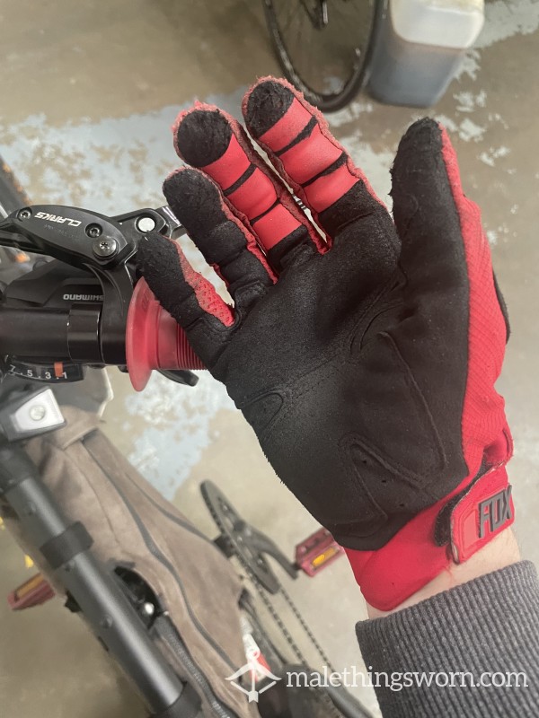 Fox Racing Gloves