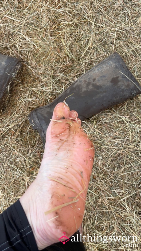 Freezing And Filthy. Barefoot At The Farm