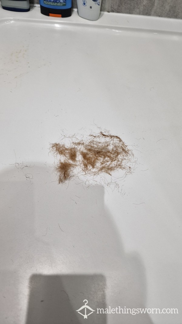 Fresh Ginger Pubes