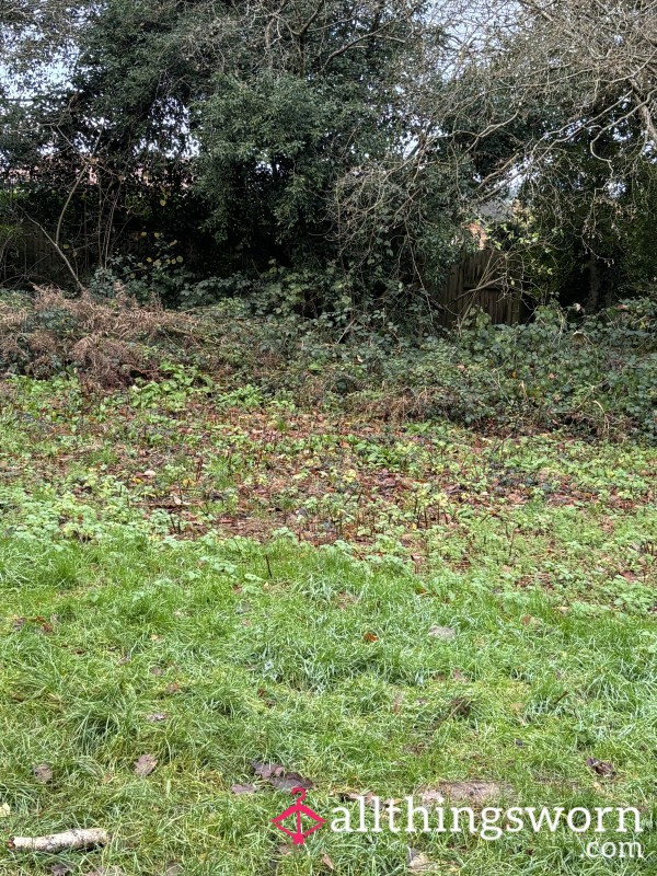 Fresh Lemonade In The Great Outdoors 🍋🔥