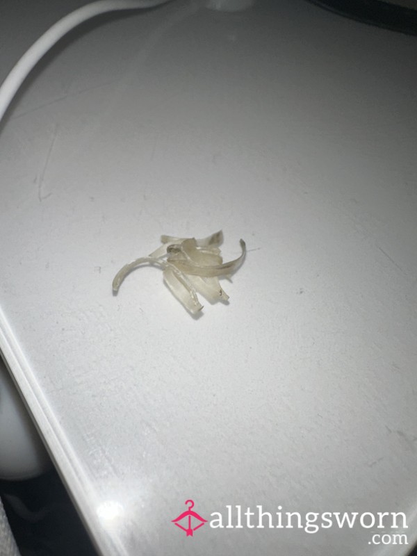 Freshly Cut Nail Clippings