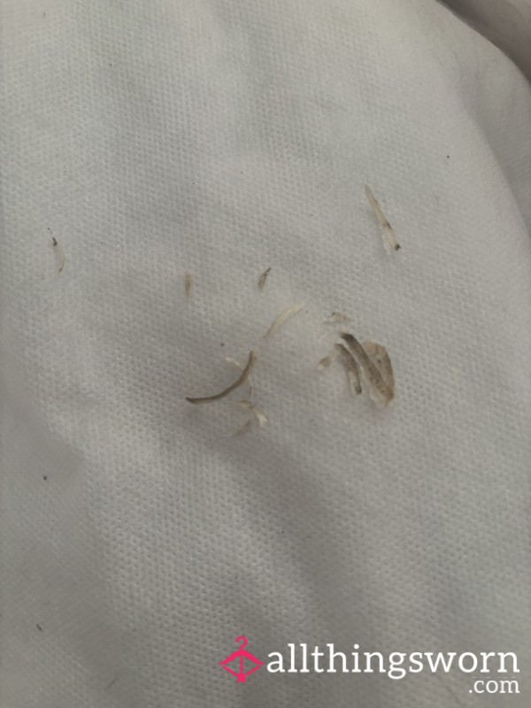 Freshly Cut Toe Nail Clipping