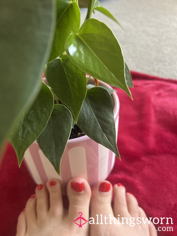 Freshly Painted In S**y Red