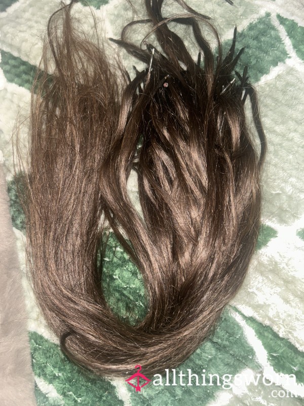 Freshly Removed Hair Extensions