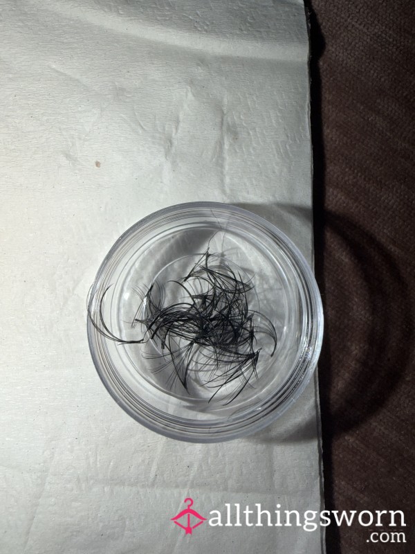 Freshly Removed Russian Lashes