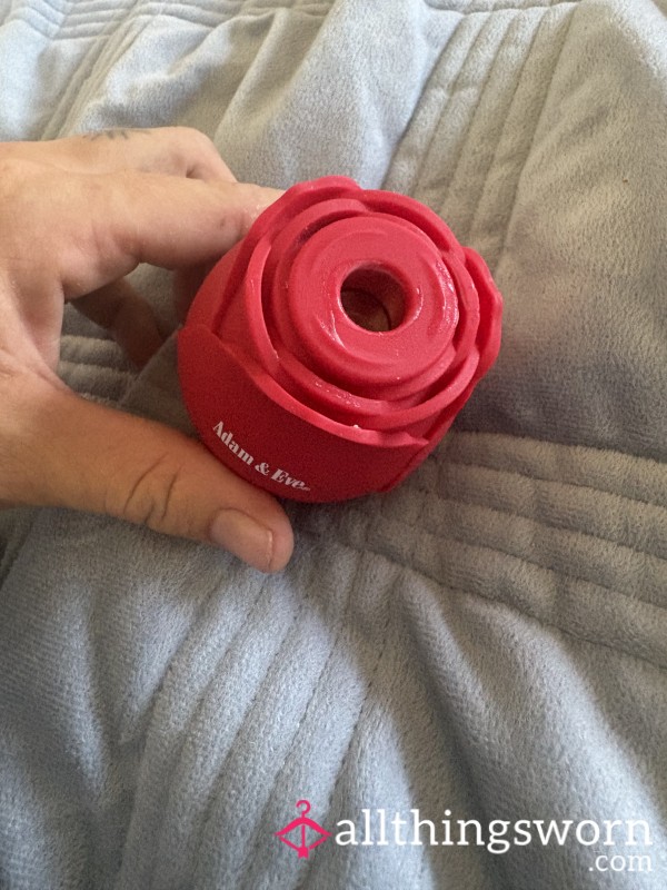 Freshly Used Rose Toy