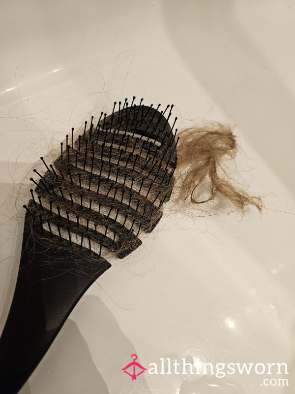 Freshly Washed Blonde Head Hair, With Brush.