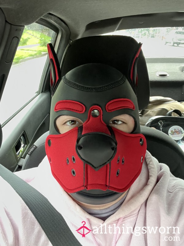 FTM Boyfriend Experience!