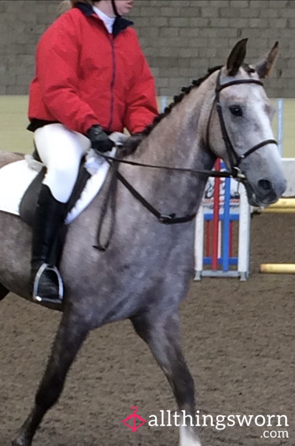 Full Riding Outfit And Riding Boots