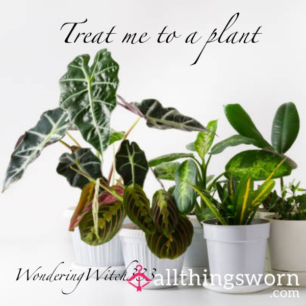 Fund My Plant Addiction