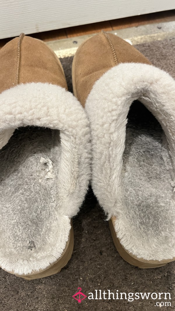 Funky Frito Outside Slippers