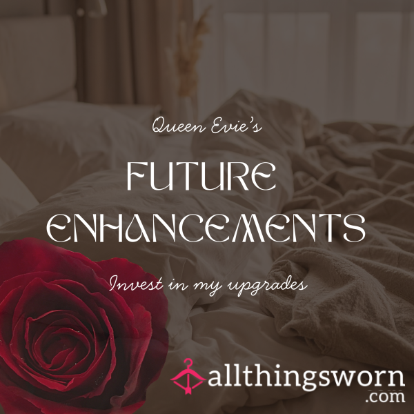 Future Enhancements