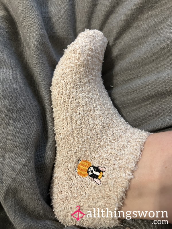 Fuzzy Dog Pumpkin Socks