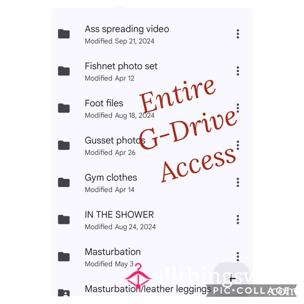 G-Drive Access- Lifetime/entire Drive