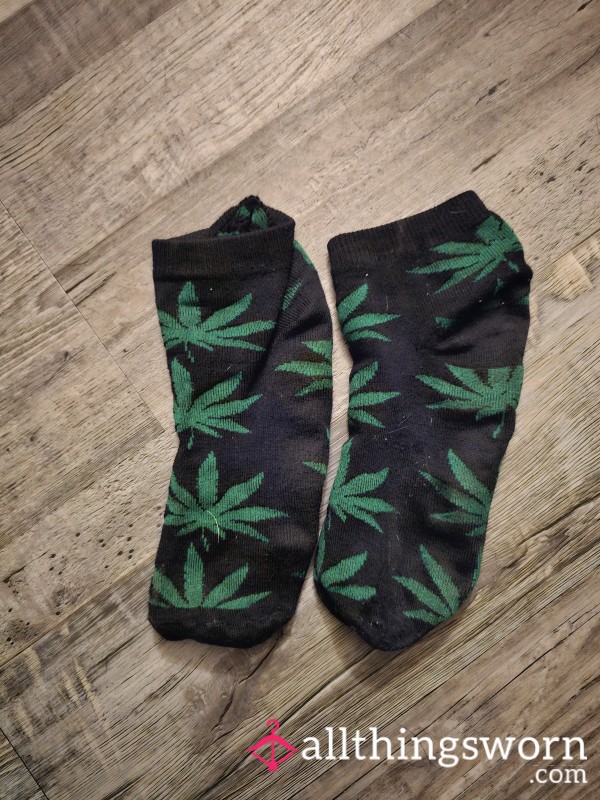 Garden Variety Socks-worn